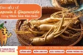Tìm Hiểu Về Saponin và Ginsenosides Trong Nhân Sâm Hàn Quốc