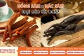 Hồng Sâm Và Hắc Sâm Loại Nào Tốt Hơn? Nghiên cứu từ viện y học Mỹ