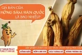 Hồng Sâm Hàn Quốc Có Giá Bao Nhiêu?
