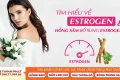 Tìm hiểu về Estrogen tự nhiên và hồng sâm Hàn Quốc bổ sung Estrogen