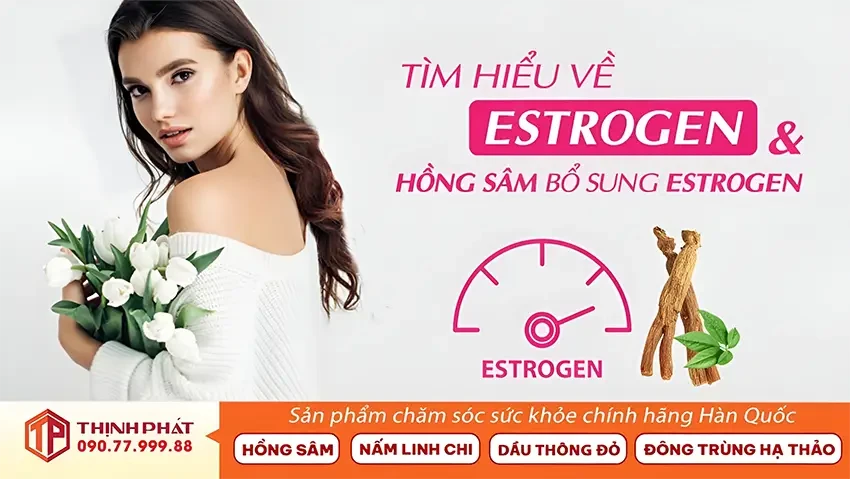 Tìm hiểu về Estrogen tự nhiên và hồng sâm Hàn Quốc bổ sung Estrogen