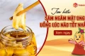 Thời điểm vàng trong ngày để uống Sâm ngâm mật ong