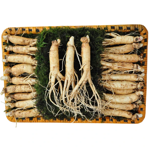 Nhân sâm tươi Hàn Quốc loại 20 - 40 củ 1 kg