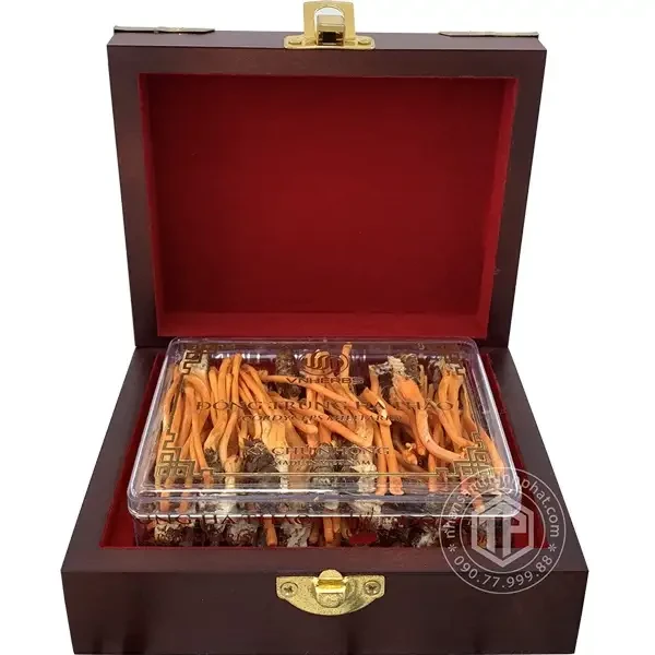 Con đông trùng hạ thảo ký chủ Việt Nam hộp 40 con