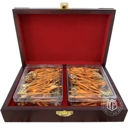 Con đông trùng hạ thảo ký chủ Việt Nam hộp 80 con