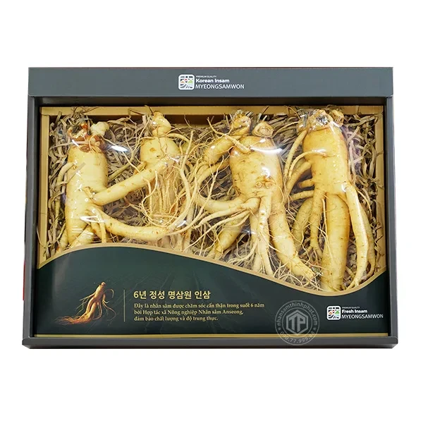 Nhân sâm tươi Hàn Quốc loại 1 nhập khẩu kg 4 củ