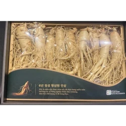 Nhân sâm tươi Hàn Quốc loại 1 nhập khẩu kg 8 củ