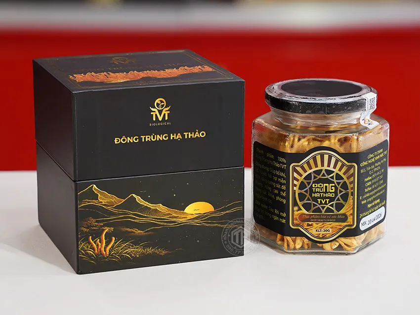 Đông Trùng Hạ Thảo Khô Việt Nam Hộp 20g Đông Trùng Hạ Thảo Khô Việt Nam Hộp 20g