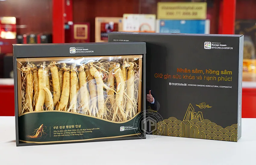 Nhân sâm tươi Hàn Quốc loại 1 nhập khẩu kg 20 củ
