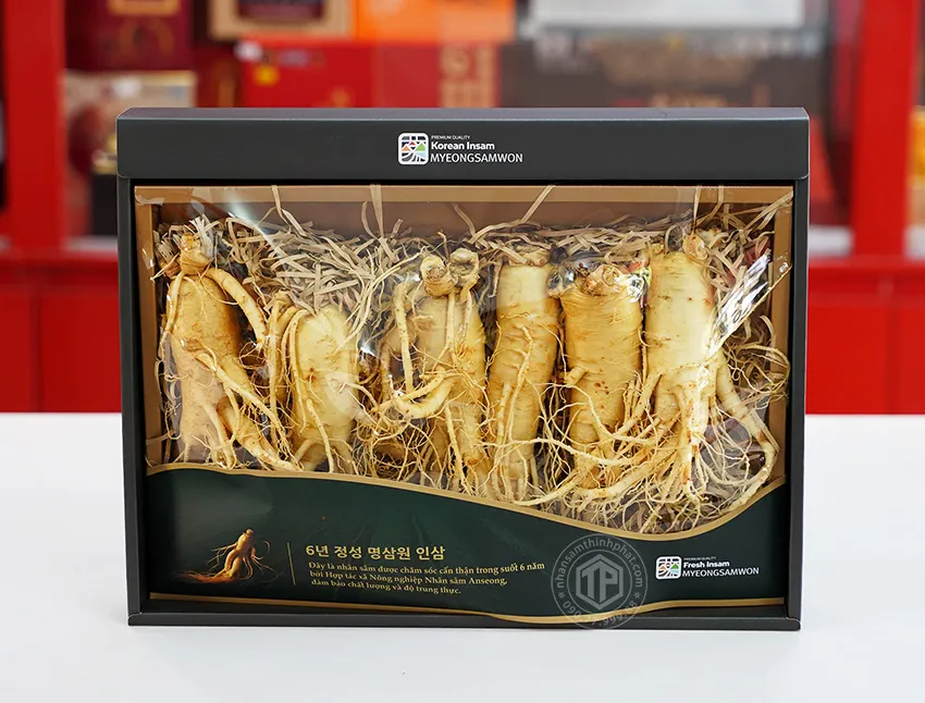 Nhân sâm tươi Hàn Quốc loại 1 nhập khẩu kg 6 củ